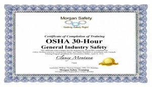 Printable Osha 30 Card Template - prntbl.concejomunicipaldechinu.gov.co